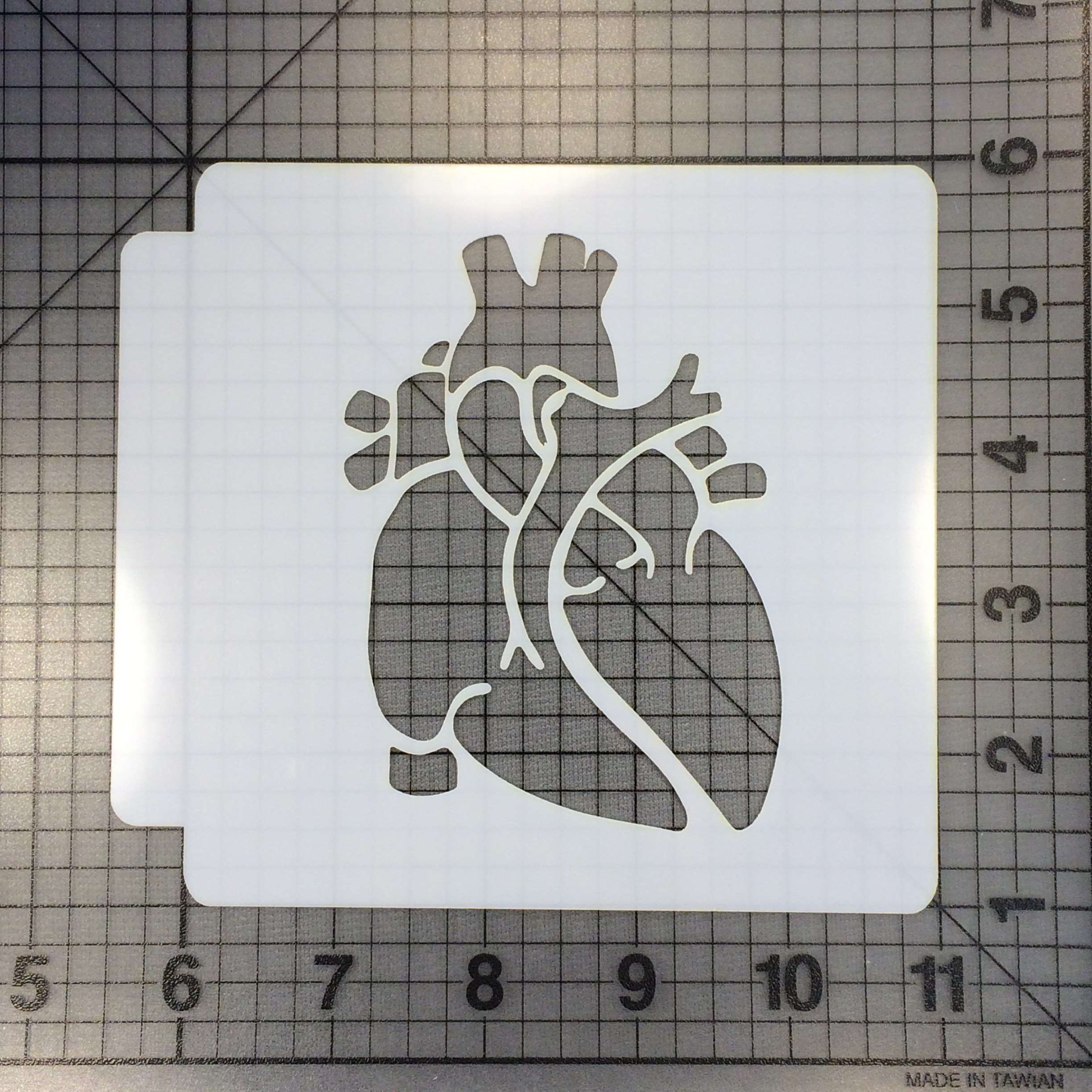 Making Anatomical Heart Silicone Molds 